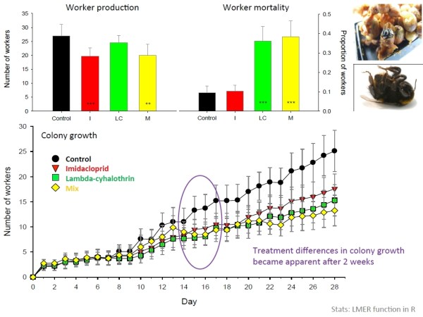 From Nigel Raine talk 8/13 - Gill et al. paper.